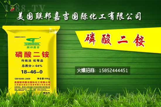 二銨價(jià)格堅(jiān)挺!7月24日國(guó)內(nèi)二銨價(jià)格行情