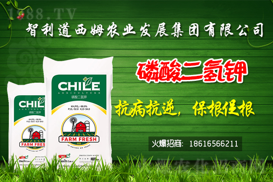 ��������ķ�ٺ�1988.TV���_���W(w��ng)�j(lu��)������ģʽ��