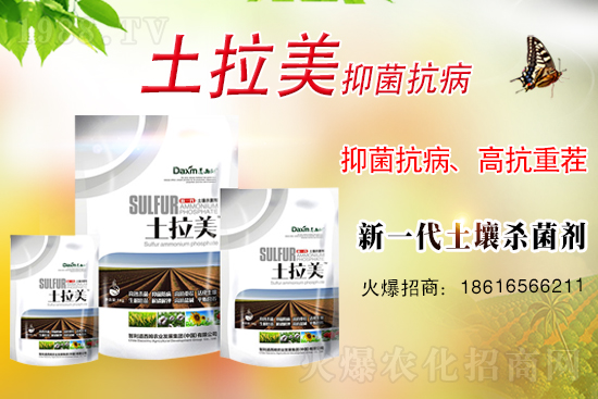 ��������ķ�ٺ�1988.TV���_���W(w��ng)�j(lu��)������ģʽ��