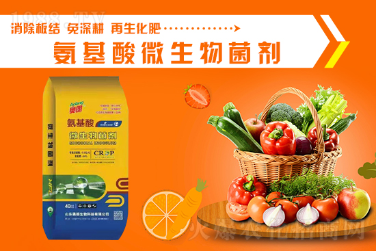 ɽ�|�W�������ٺ�1988.TV���y�ִ����������E��