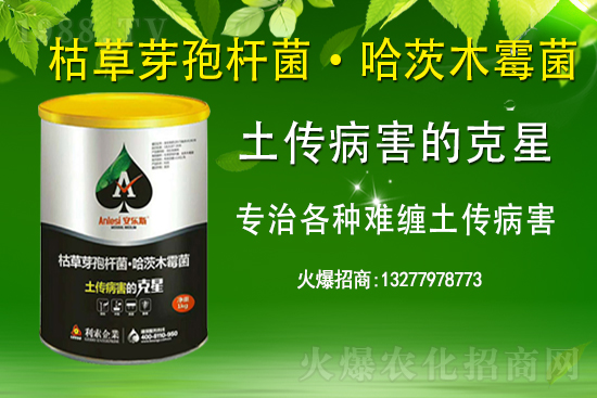 ��ռ�̙C(j��)���������A�����������y���r(n��ng)���W(w��ng)�ل�(chu��ng)���x�ͣ�