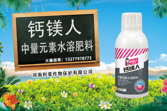 ��ռ�̙C(j��)���������A�����������y���r(n��ng)���W(w��ng)�ل�(chu��ng)���x����