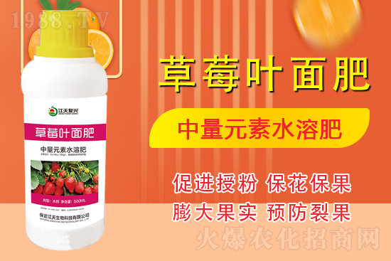 �����l(f��)չ������(chu��ng)δ�����������ﺞ�s1988.TV������(chu��ng)���x����