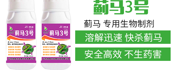 �E�R�����������Ƅ�-�E��3̖-�����S����_03