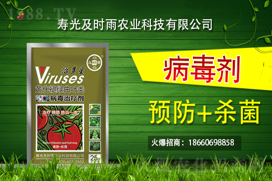     �۹⼰�r���٠��ֻ��r(n��ng)���W(w��ng)�����r(n��ng)�Y�ИI(y��)ע��������