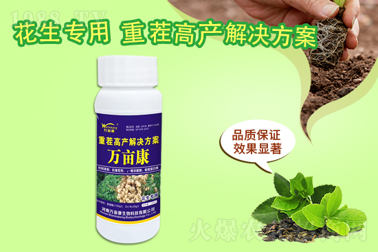 ���@����(w��n)������20219��10�����@�r�������r