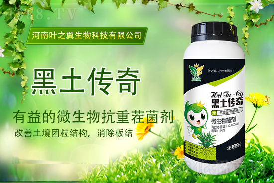 �������؈�(b��o)�r(ji��)��2021��9��15�Շ�(gu��)��(n��i)�������؃r(ji��)������