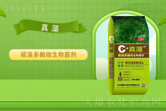 氯化鉀價格平穩(wěn),2021年9月2日國內(nèi)鉀肥價格走勢