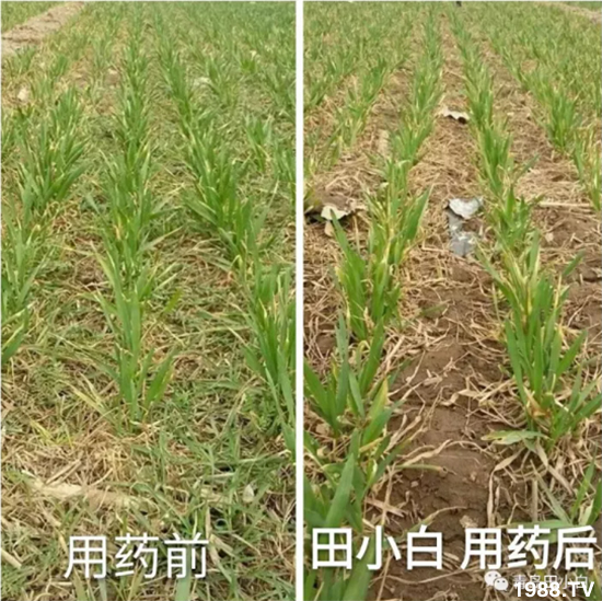 ��(ji��)��(ji��)��Σ����(y��n)����ô������ʲôˎ��Ч���ã�