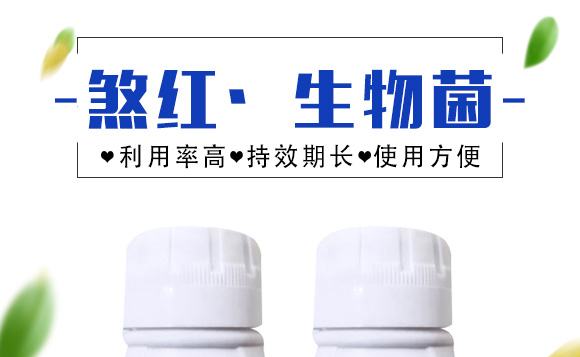 ɷ�t�������-Ξ���x_01