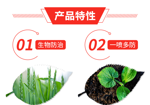 ��ʭ�^-�n����-Ξ���x_03