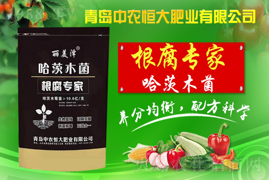 【中農(nóng)恒大】祝全國人民新年快樂,虎氣十足,財源滾滾!