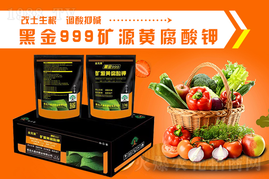 【青島大鑫農(nóng)】祝大家新的一年,愿與你再揚(yáng)帆濟(jì)海,開創(chuàng)事業(yè)的艷陽天!