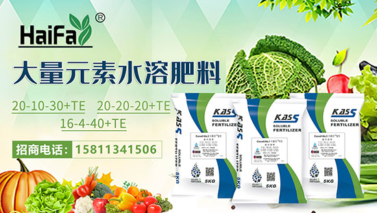 【以色列海法科貿(mào)】祝農(nóng)資經(jīng)銷商朋友們2022新年快樂,恭喜發(fā)財(cái)!