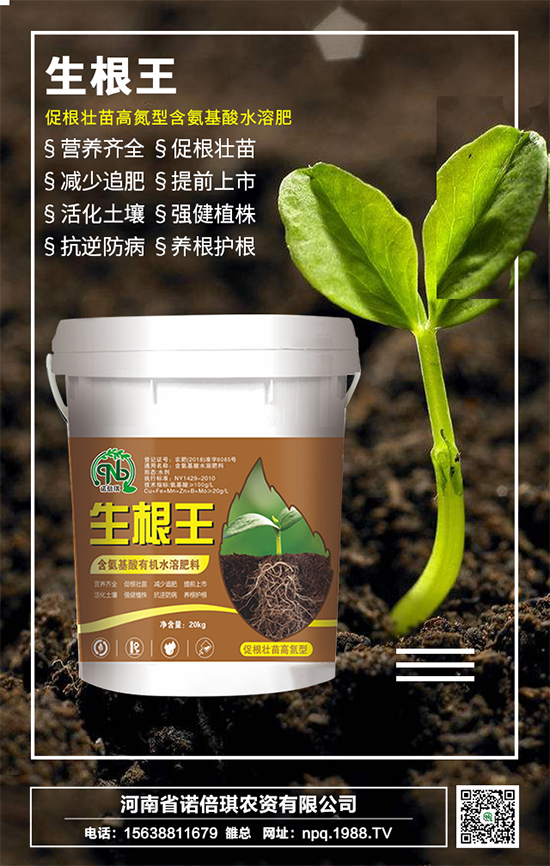 ���Z�����r(n��ng)�Y��ף������µ�һ�����I(y��)�г������\(y��n)�o����