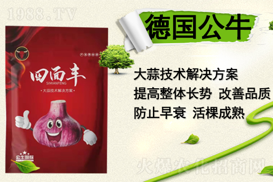   ����������ף������µ�һ�����Ҹ����M���H�Қg����