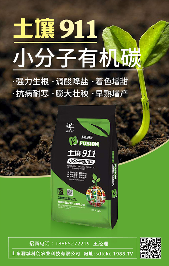 ɽ�|�ĳǿƄ�(chu��ng)�ٺ�1988.TV�����\�������p�A��