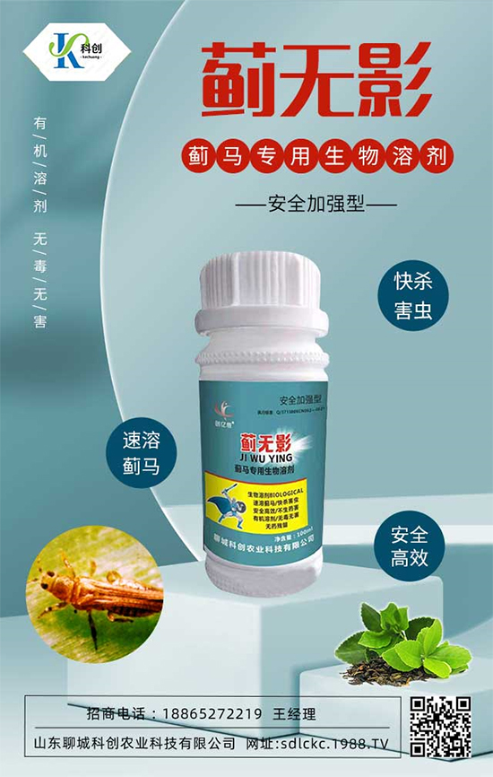 ɽ�|�ĳǿƄ�(chu��ng)�ٺ�1988.TV�����\�������p�A��