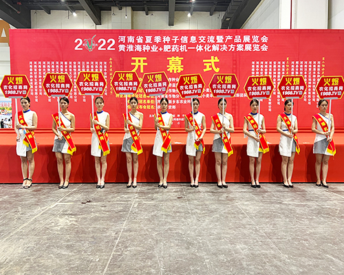 �����]�����Ĵ������������L(f��ng)�ɱM�@��