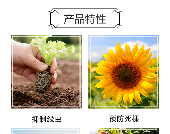 深圳市螢火蟲化學(xué)有限公司-單打獨斗_04