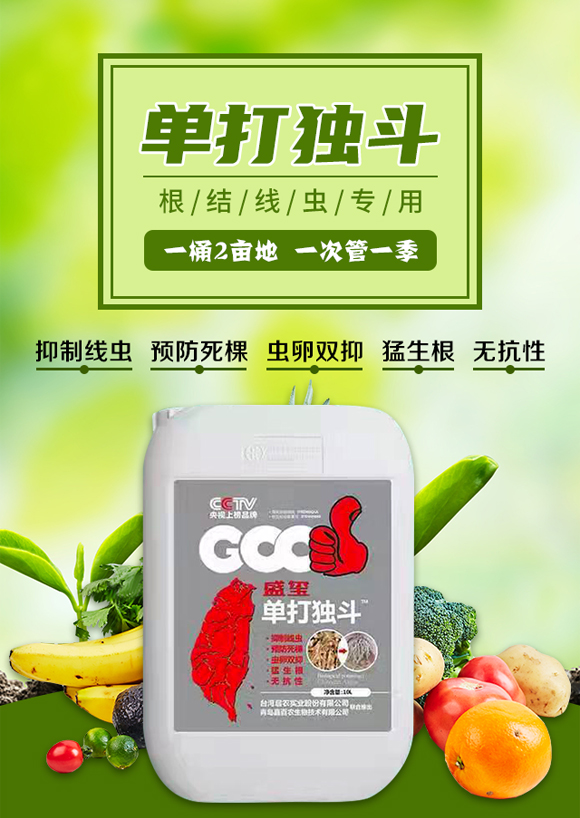 深圳市螢火蟲化學(xué)有限公司-單打獨斗_01