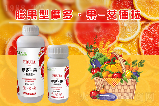 ���������ʲôԭ����ɵ������������ʩ����Щ