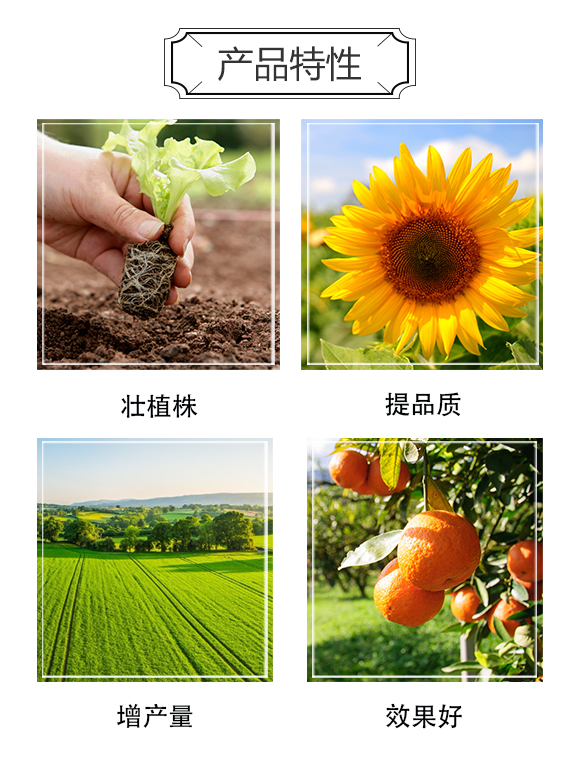 格萊富生態(tài)肥料(河北)有限公司808788_03