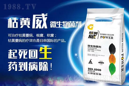 ���Sή�����ݵȲ������Ӝ皢�������͉�����