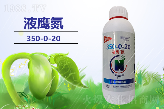 2022���r�Y�a�N�Ƕ����������Xһ����