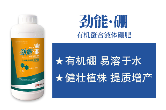 ���R�����B(t��i)���ϣ��ӱ������޹�˾808789_02