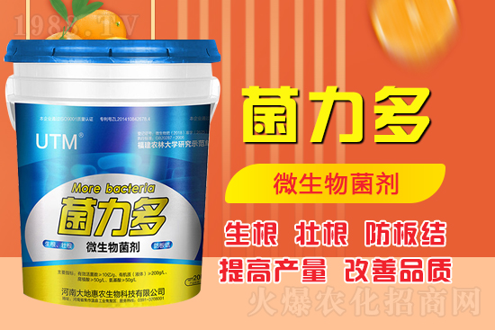 ������ʺͻ��ʵă�(y��u)�݌������������Ч�������