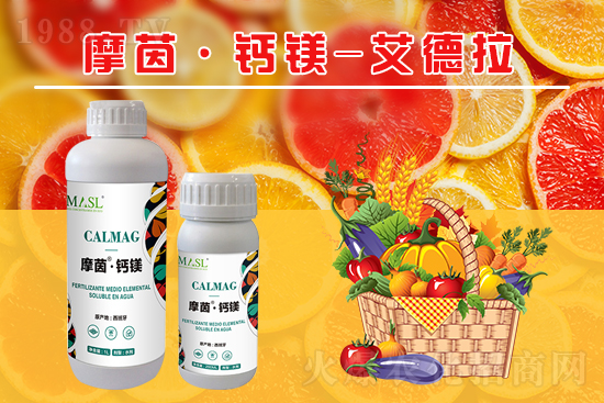 �����a�}�S���ځ��ˣ�����a���}�V����