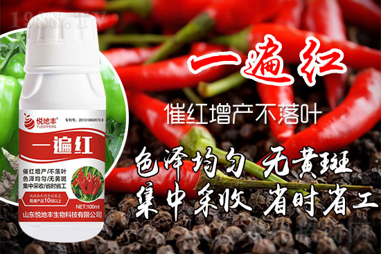 �����߼t��ʩ��ô�������������ǰ���У������߼tˎʲô�r������