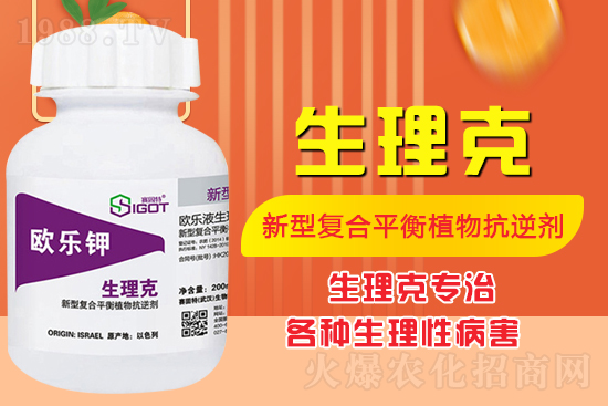 ����Ě������ʲô�Y������ô��Q����Ě������