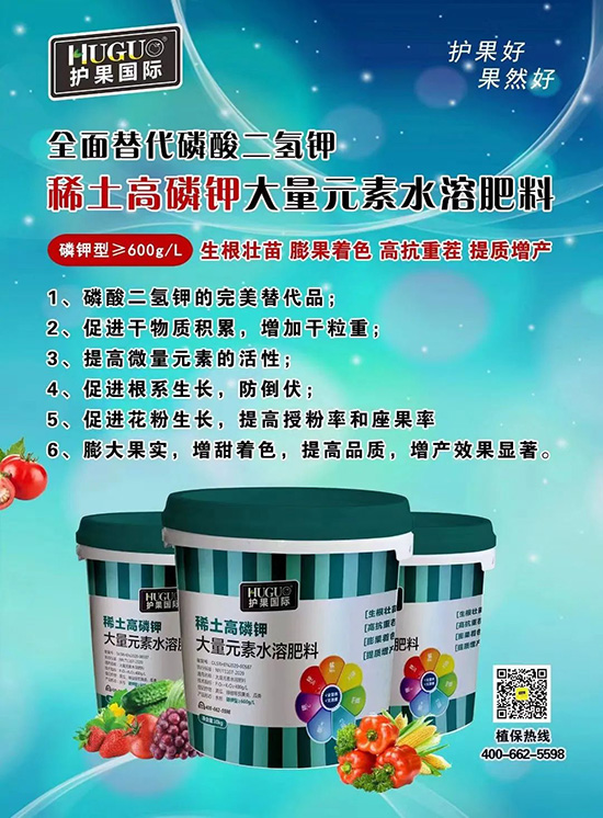 ⛷ʴ�q�r���@�N⛷���ݶ��ϣ����������������ռ���f�Ј�