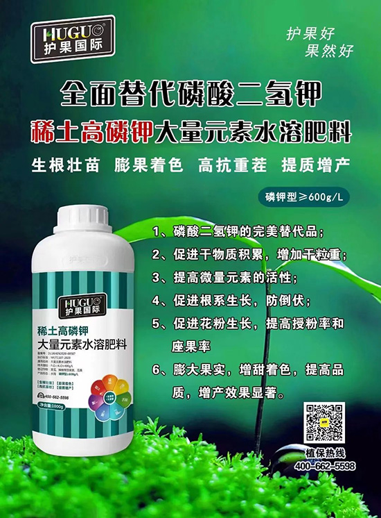 ⛷ʴ�q�r���@�N⛷���ݶ��������������������ռ���f�Ј�