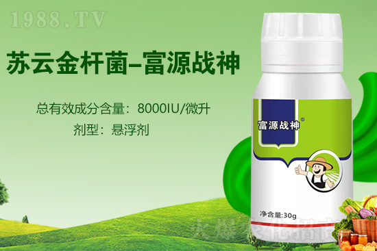 2022�������ش��x(ch��ng)�����ؼ��g(sh��)����