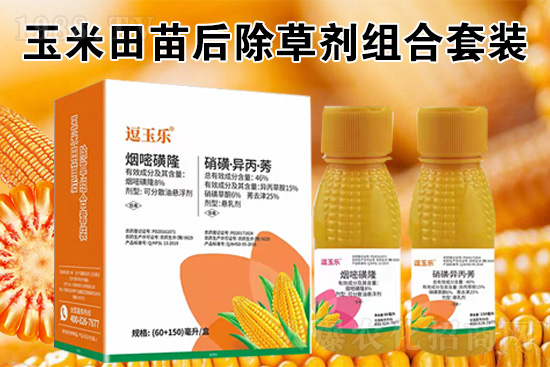 ���׳��݄���ô�������Ч��