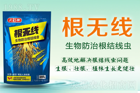 ���Y(ji��)���x�������ך��^�y���@�ӷ���Ч���õ��@����