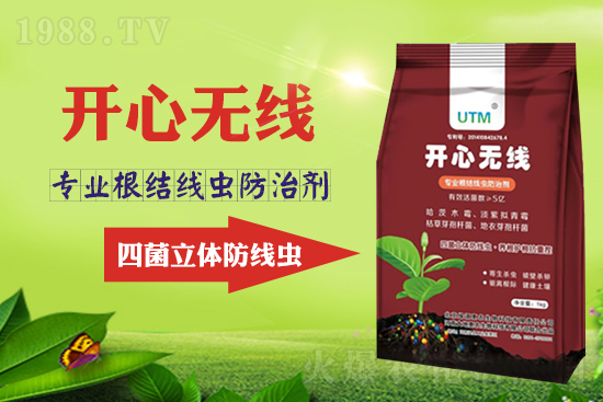 ���Y���xΣ���󣿾��x������Ҋ�R����