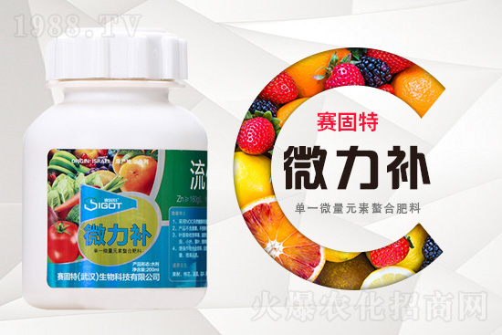 ���ι���С�~���S�~�������������У�