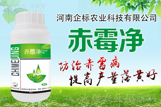 �o�����ѣ�δ��ʮ����С����ù�������P(gu��n)�I������(w��)��ץס��