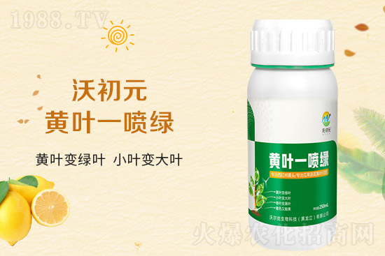 �����~Ƭ��ʲô�l(f��)�S��