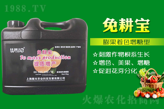 ���Ѵ߼t��ʩ��ô������ʲô���ɣ�