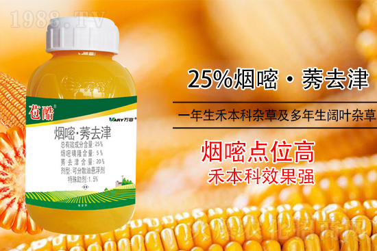 ���׳������e���@�׷N���݄���