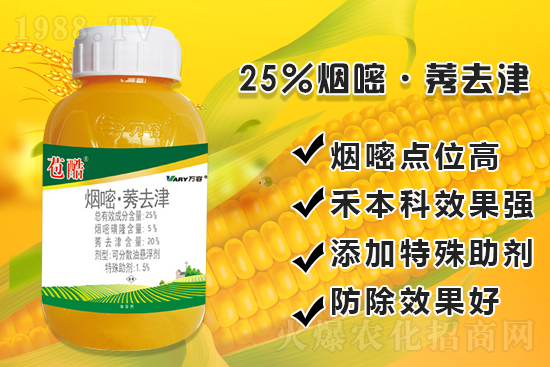 ���׳��ݣ��e���@�׷N���݄���