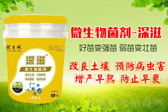 ������α��l(f��)ʽ�������������B(y��ng)�������������