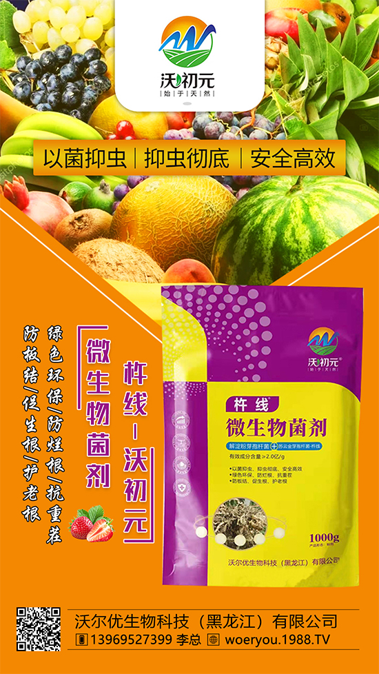 ����ĸ�ϵ���Q������Įa(ch��n)��