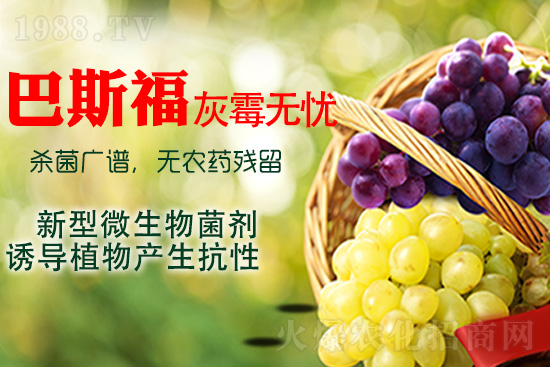 ���ѻ�ù��ԓ��ν�Q����ù����ˎ���h��