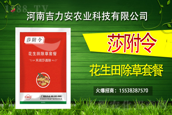 �������݄�